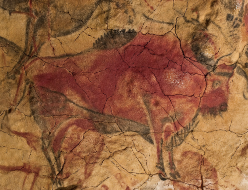 Have you seen the First Paintings in Human History?